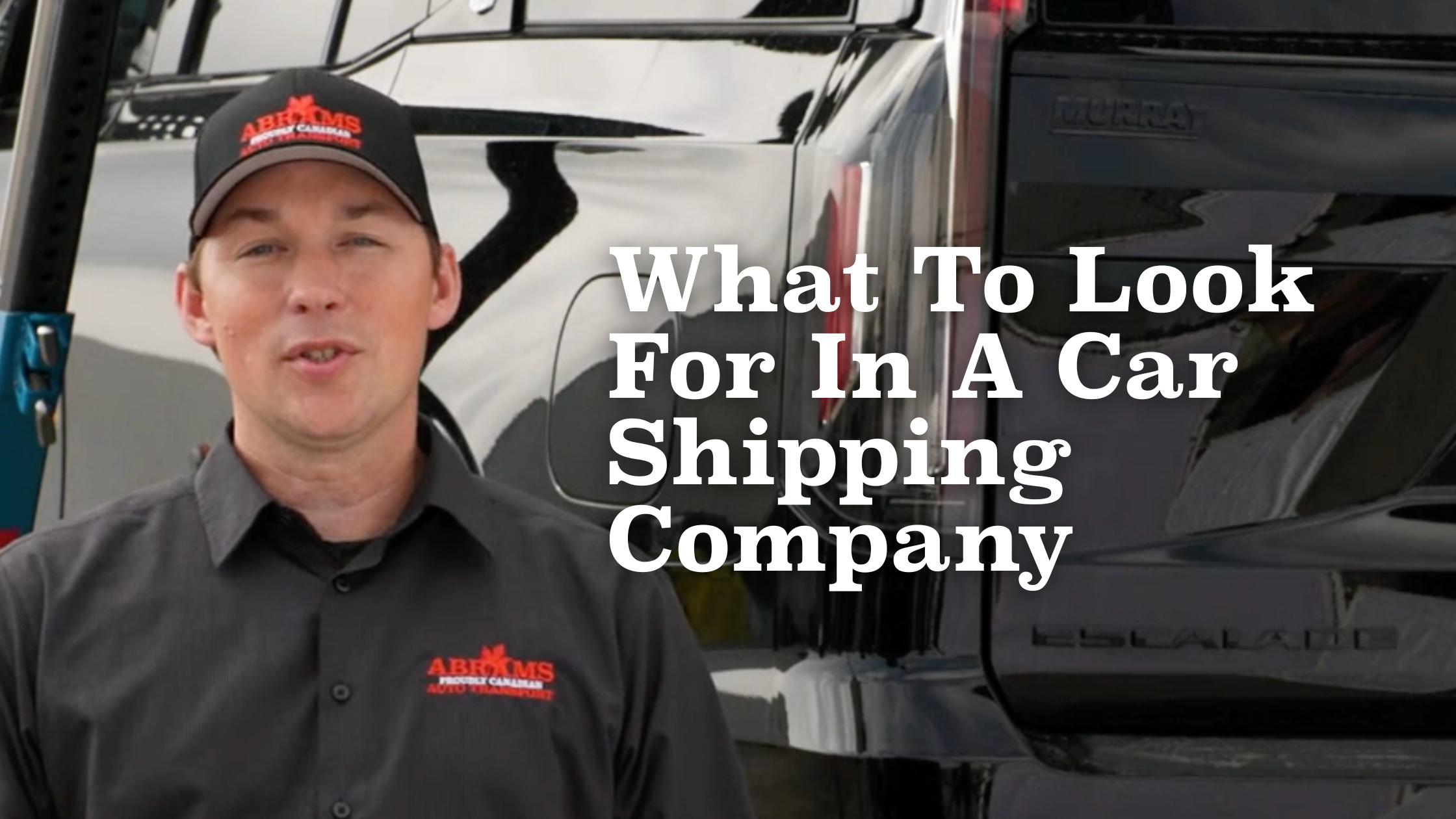 What To Look For In A Car Shipping Company