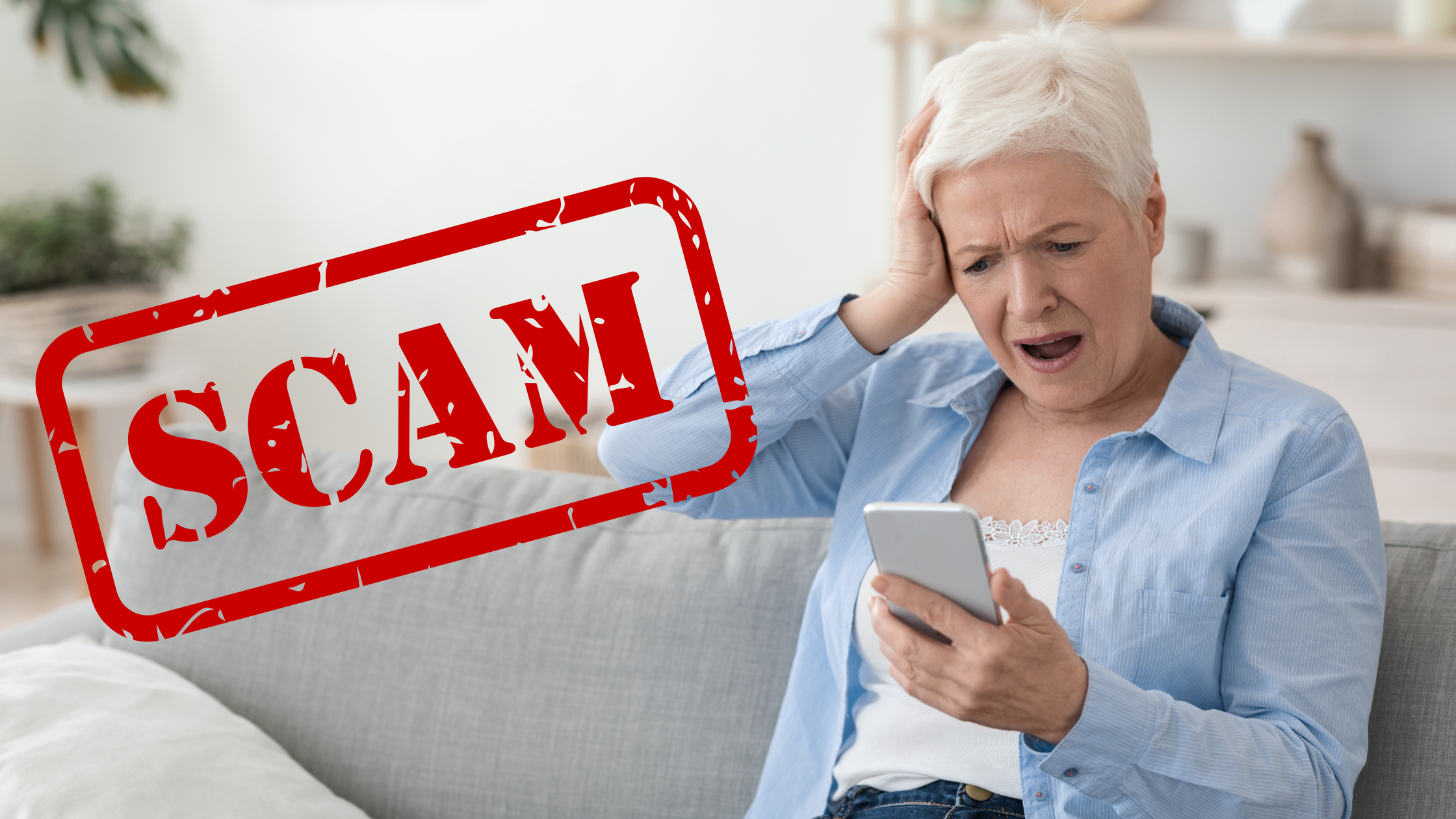 How To Avoid Car Shipping Scams 1